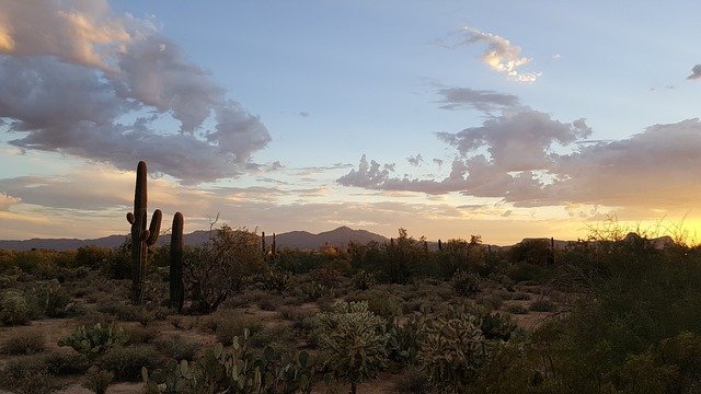 Arizona Desert Desert in southern Arizona with Saguaro cactus