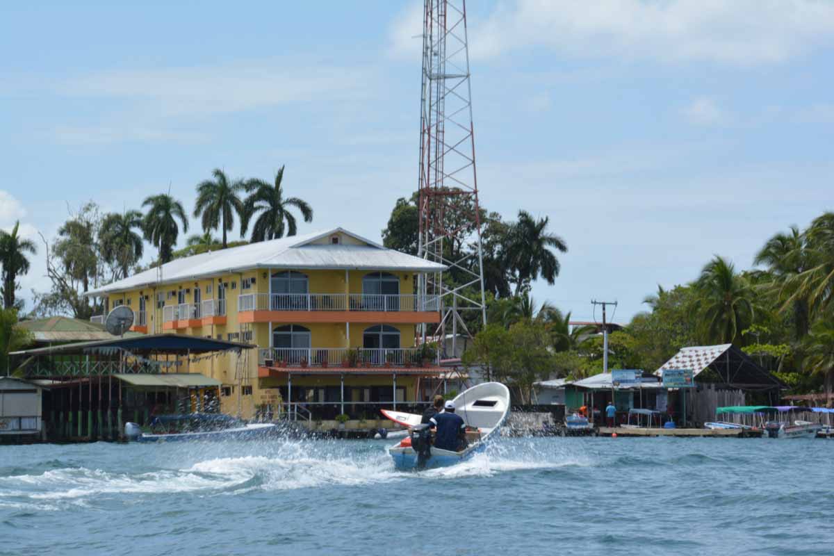 Bocas Town A surfer arriving back at Bocas Town on a speedy water taxi